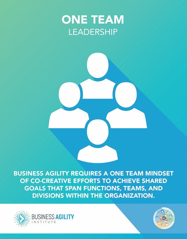 Domains of Business Agility | One Team