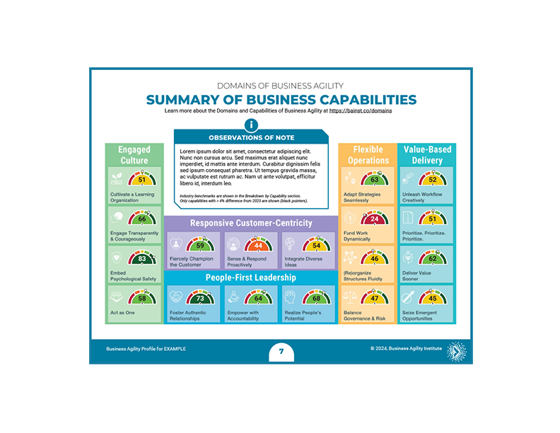 Sample image of the Summary of Business Capabilities in the Business Agility Profile Report