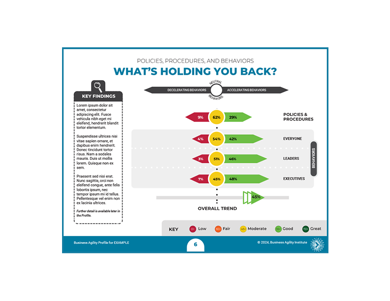 Image from Business Agility Sample Report on What's Holding Your Org Back