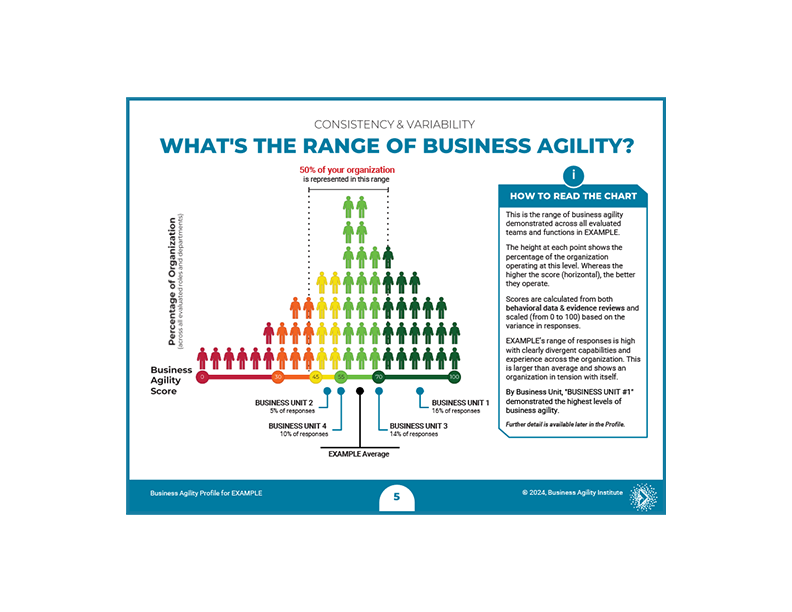 Sample image of "Range of Business Agility" page in sample Business Agility Profile Report