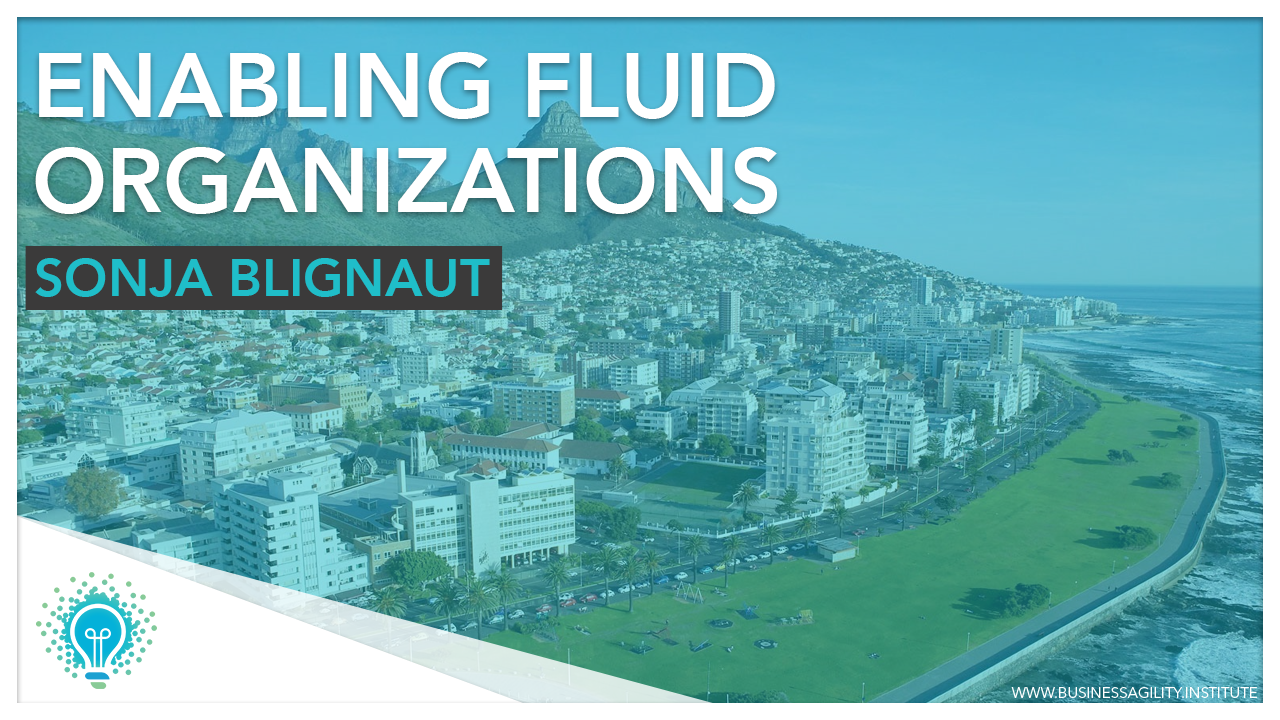 Enabling Fluid Organizations