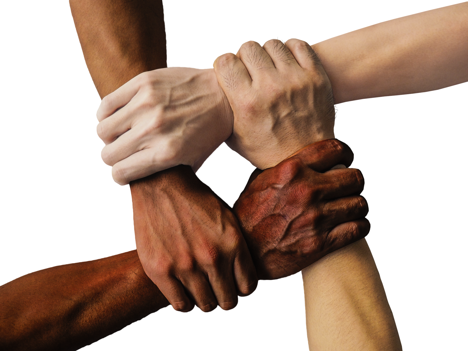 4 arms linked together with different skin colours