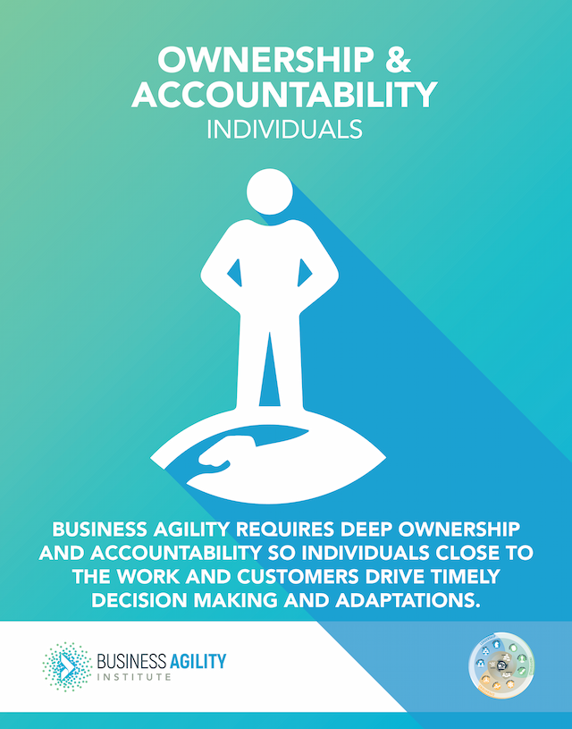 Domains of Business Agility | Ownership & Accountability